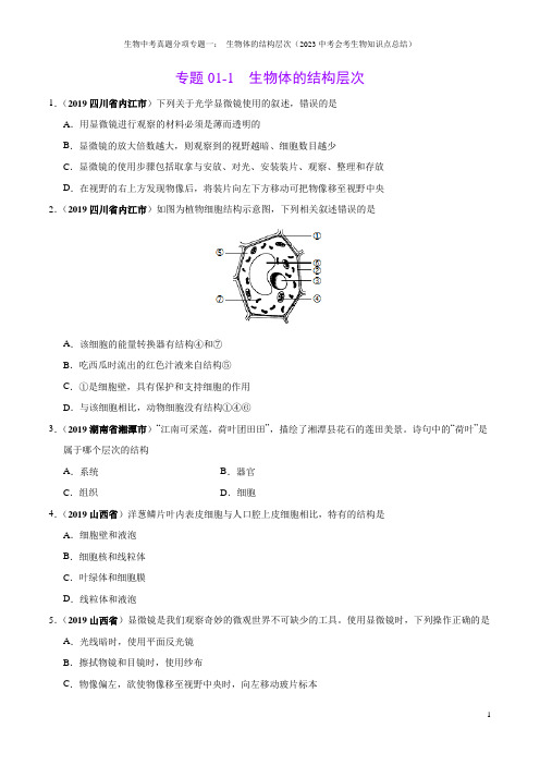 生物中考真题分项专题一： 生物体的结构层次(2023中考会考生物知识点总结)