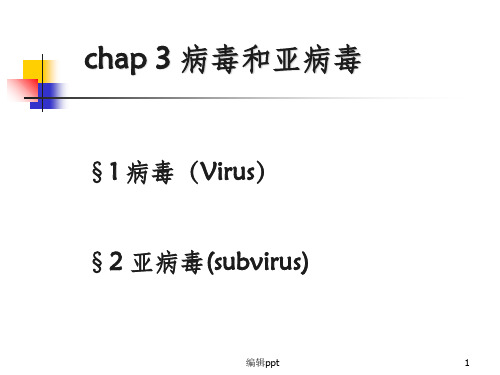 《非细胞型生物》PPT课件