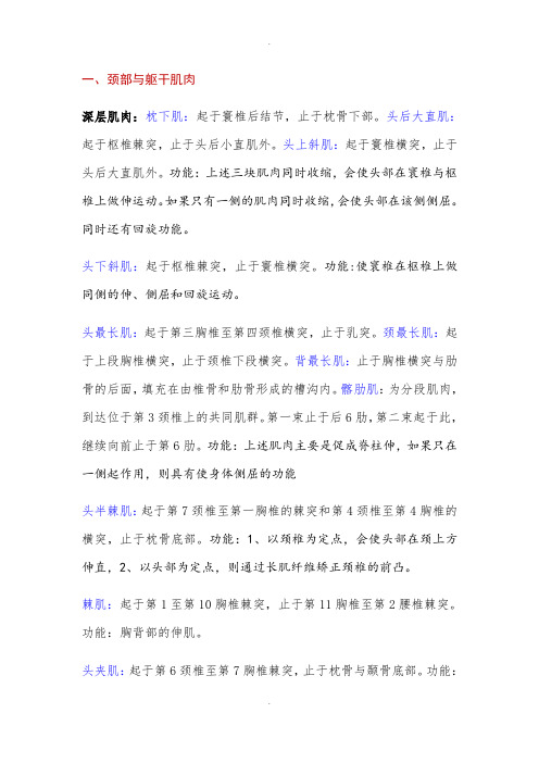 肌肉起止点宋