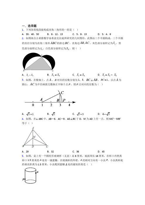 北京师范大学第二附属中学八年级数学下册第二单元《勾股定理》检测卷(答案解析)