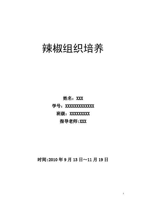 辣椒组织培养