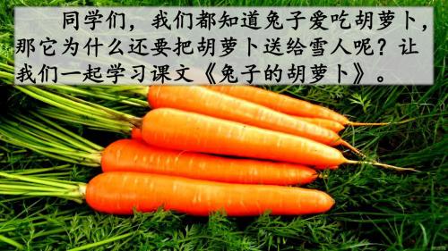 新人教版三年级下册5兔子的胡萝卜PPT优质课件1