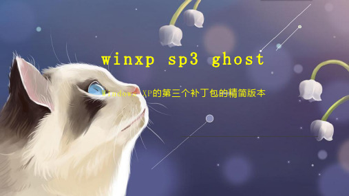 winxp sp3 ghost