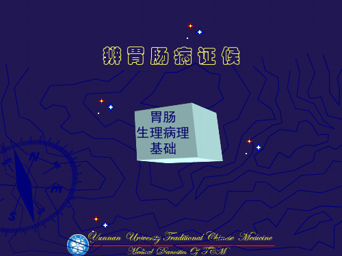 中医诊断学辨胃肠病证候
