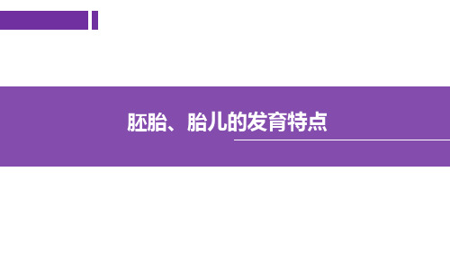 胚胎、胎儿的发育特点