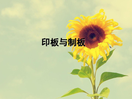 制版与印刷课件PPT