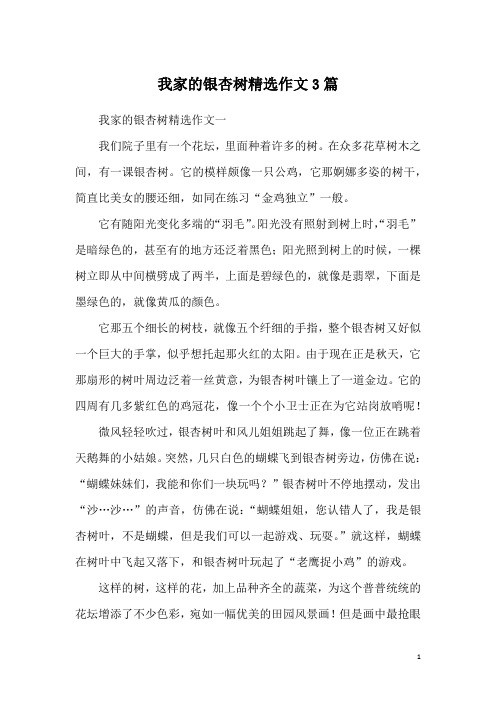 我家的银杏树精选作文3篇