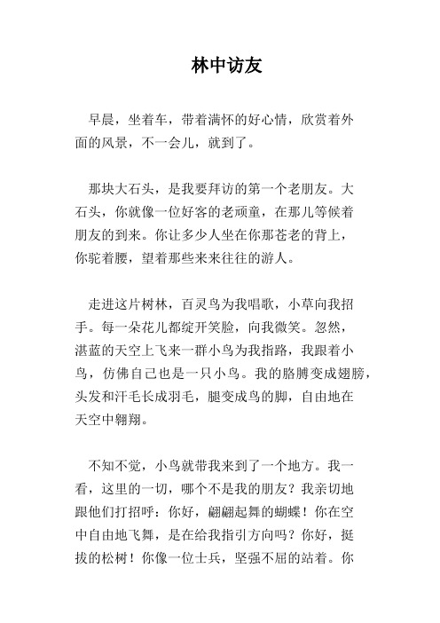 林中访友