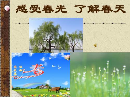 感受春光了解春天教学课件