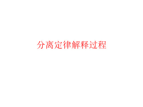 分离定律的解释
