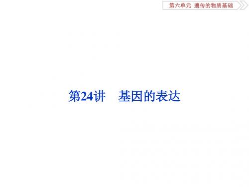 高考生物大一轮复习第六单元遗传的物质基础第24讲基因