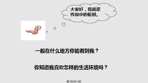 蚯蚓选择PPT课件