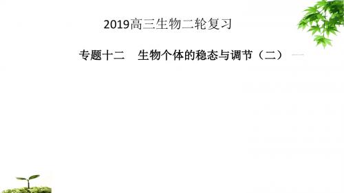 2019年高考生物一轮复习精品课件：人和动物神经调节