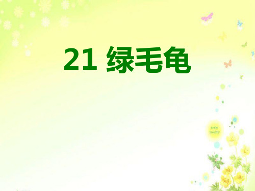 绿毛龟(第2课时)