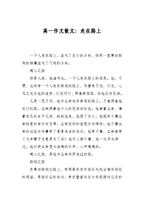 高一作文散文：走在路上