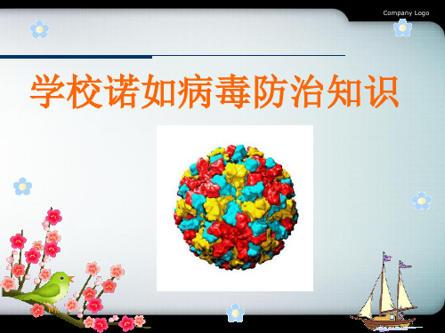2020年最新预防诺如病毒PPT课件【整理版】 (2)