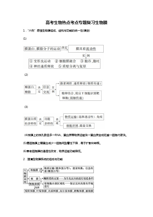 人教版高考生物考点专题复习生物膜