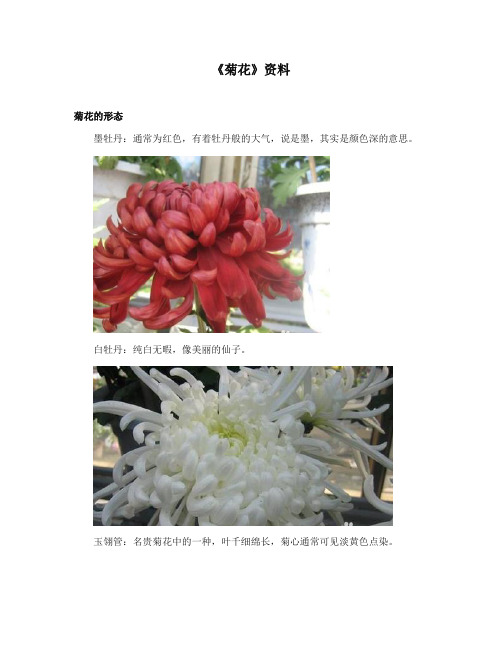 2017-2018年语文S版小学语文四年级上册《菊花》资料菊花的形态(新版)