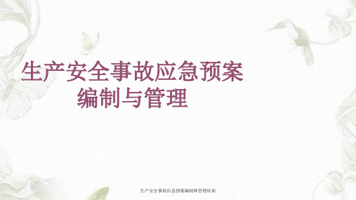 生产安全事故应急预案编制和管理培训课件