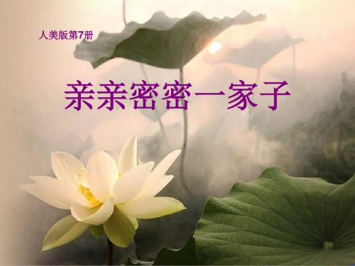人美版美术六上第5课《亲亲密密一家子》ppt课件2