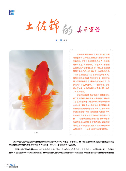土佐锦的美丽密语