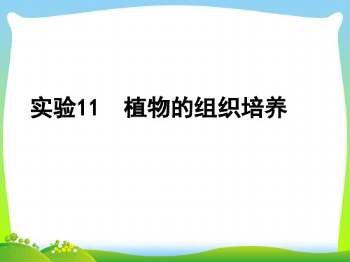 植物的组织培养-课件