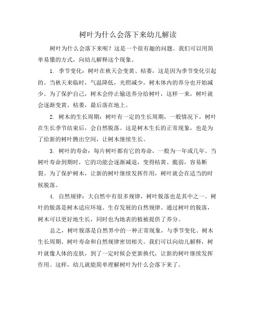 树叶为什么会落下来幼儿解读