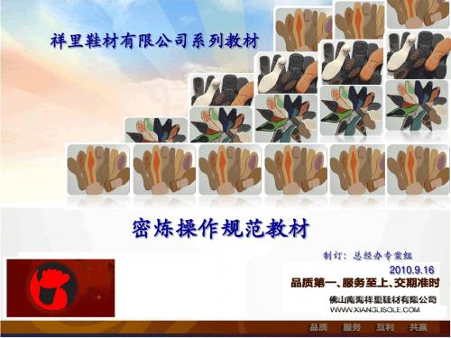 密炼操作规范教材