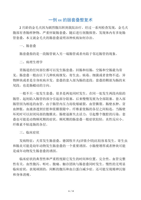 一例金毛犬的肠套叠整复术