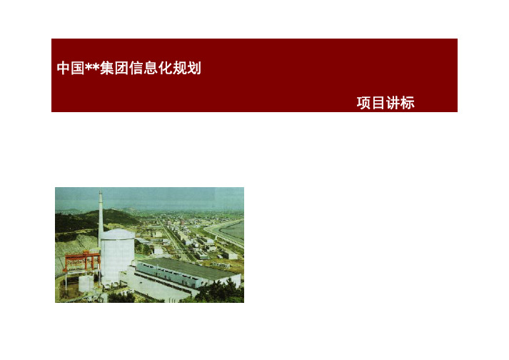 某集团it规划建议书