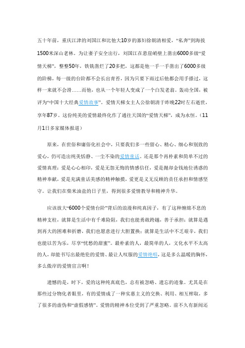 爱情天梯