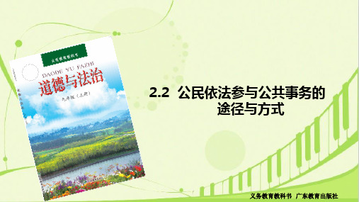 22公民依法参与公共事务