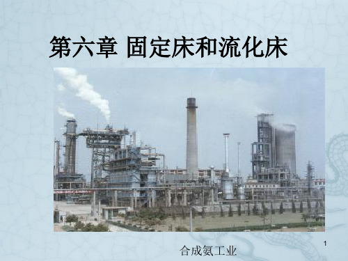 第六章 固定床