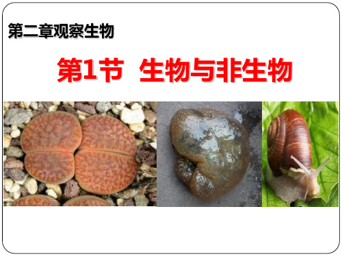 生物与非生物PPT优秀课件-ppt下载