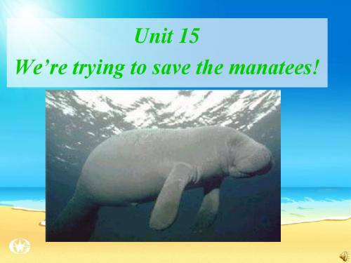 初三九年级英语 Unit 15We’re trying to save the manatees ppt课件