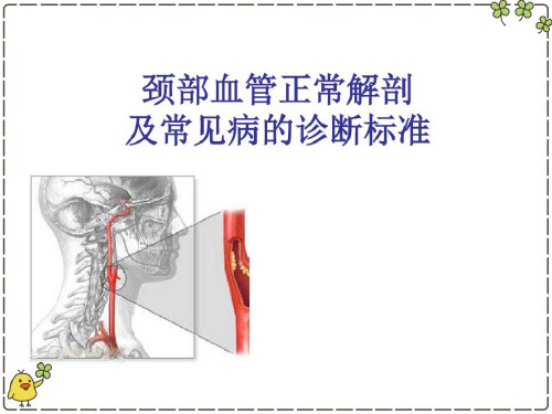 颈部血管解剖 ppt课件