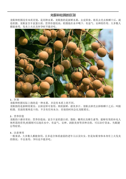 龙眼和桂圆的区别
