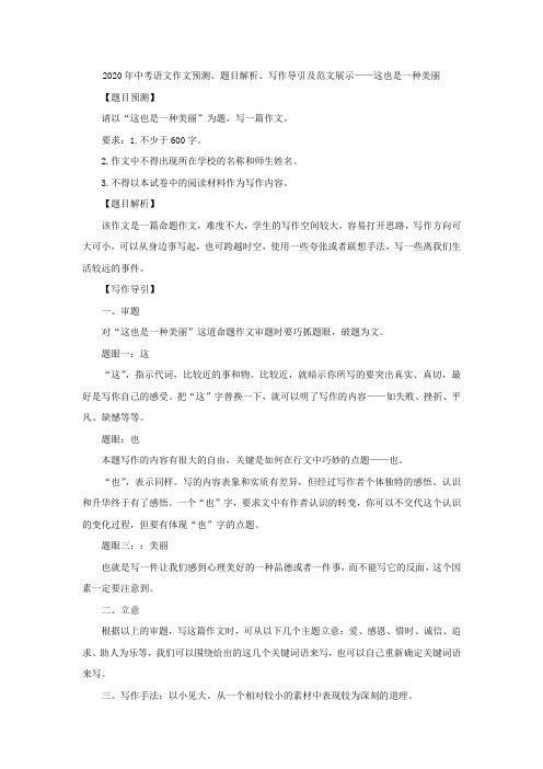2020年中考语文作文预测、题目解析、写作导引和范文展示——这也是一种美丽