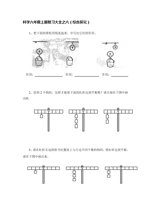 科学六年级上册复习大全之六(综合探究)