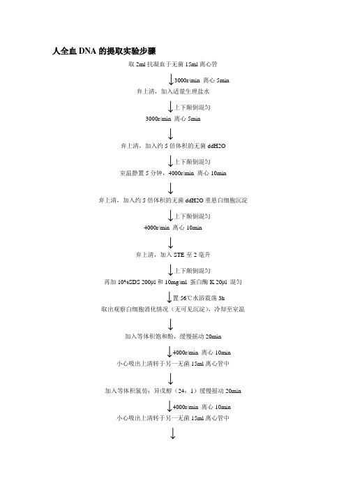 人全血DNA的提取实验步骤