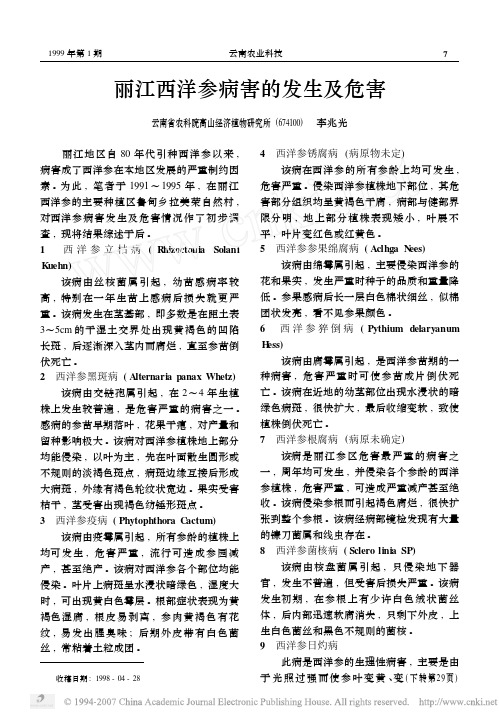 丽江西洋参病害的发生及危害