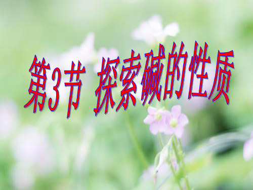 碱的性质PPT教学课件