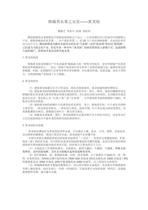 柑橘类水果之灾星--黄龙病
