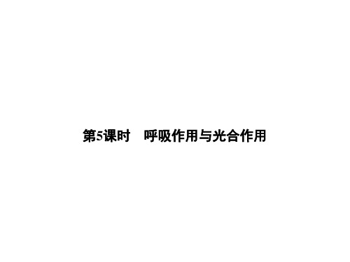 浙教版科学 2020中考一轮复习 第一篇 第5课时 呼吸作用与光合作用