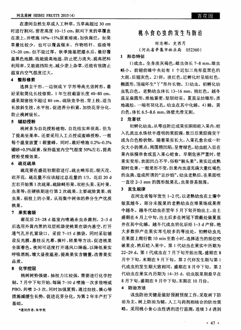 桃小食心虫的发生与防治
