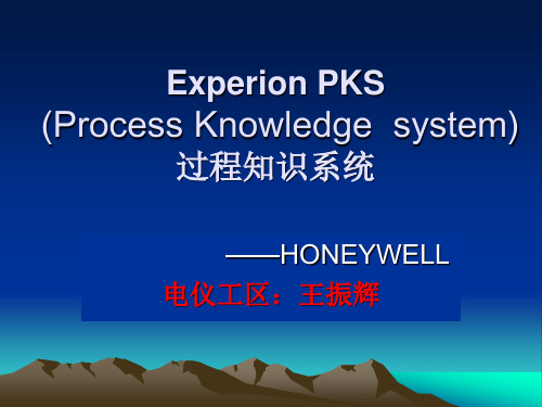 PKS系统 Control Builder