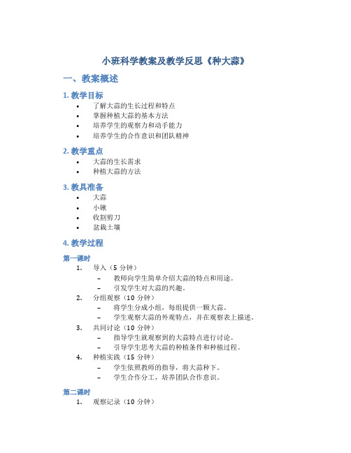 小班科学教案及教学反思《种大蒜》