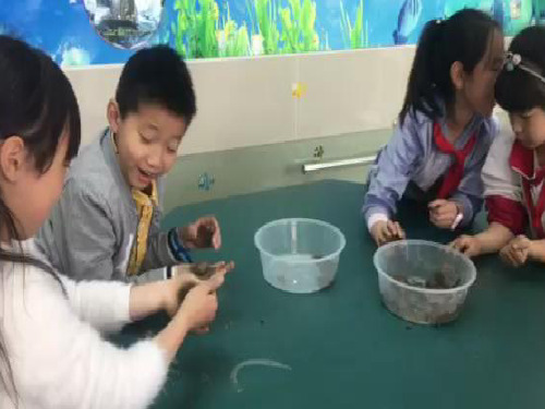 苏科版科学一年级下册第二课玩泥巴PPT课件3
