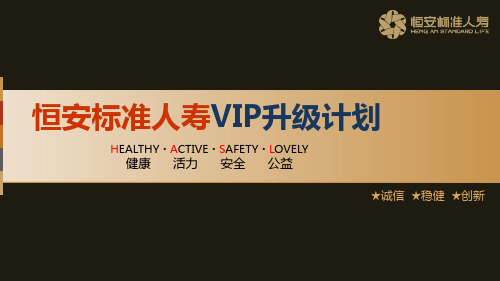恒安标准人寿VIP现状升级方案服务详解推广计划33页