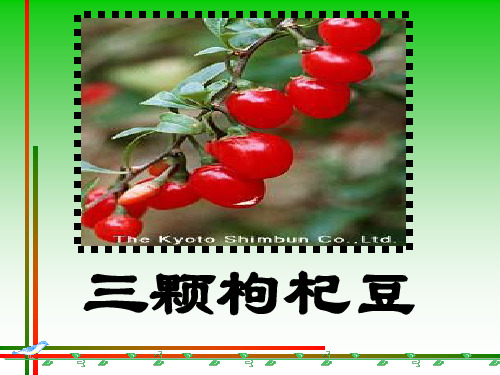 《三颗枸杞豆》语文PPT课件(6篇)